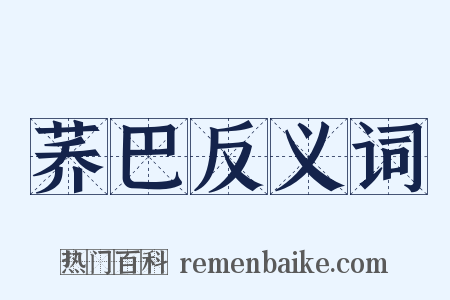 荞巴反义词是什么意思的图片